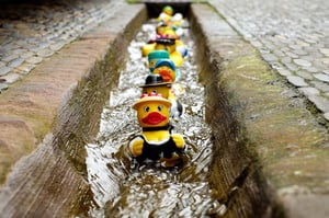 rubber-duck-1401225_1920